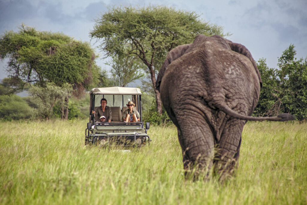 The Altivago Standard: 6 Best Principles Behind a Seamless Private Safari in East Africa
